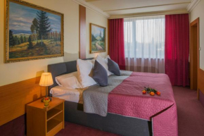  TOP HOTEL Praha  Прага